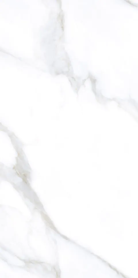 ROCCO WHITE TING view 3